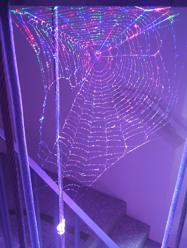 Spinnennetz im Licht, Deutsches Museum München